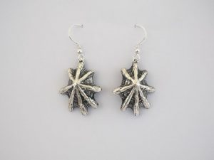 Cats Paw Shell Earrings