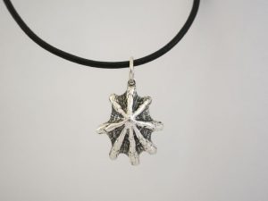 Cats Paw Shell Pendant